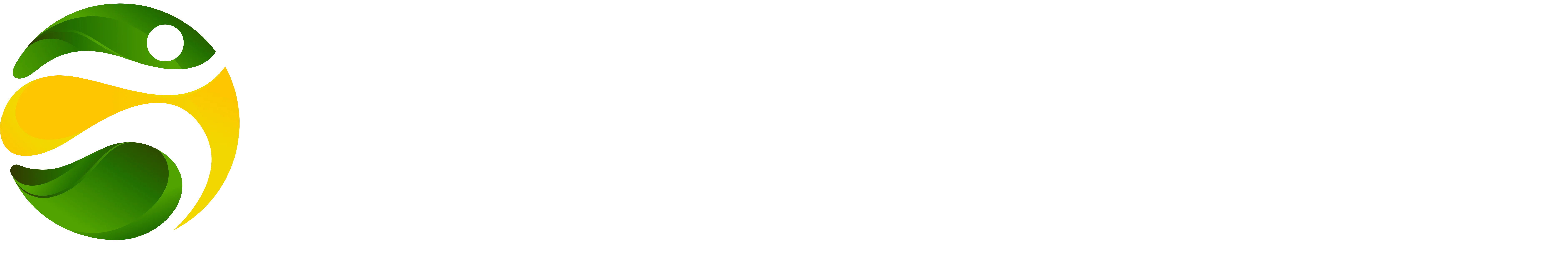 Logo Br4Bet Casino